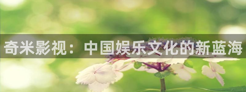 久久国内影院