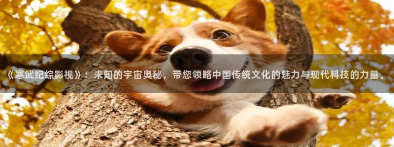 四虎影院国产精品久久