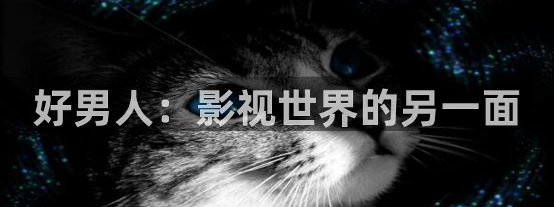 久久视频精品2