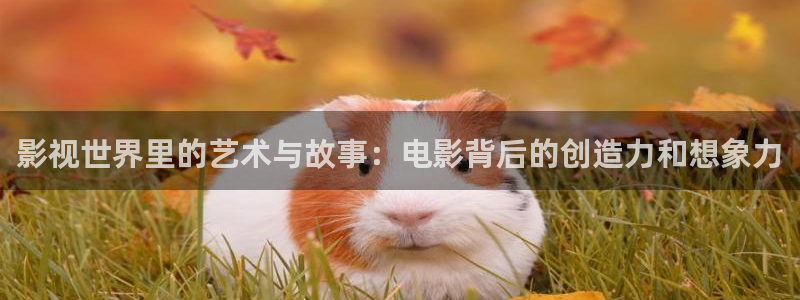 久久国内精彩视频