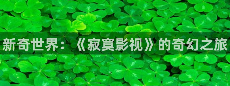 久久免费国产视频