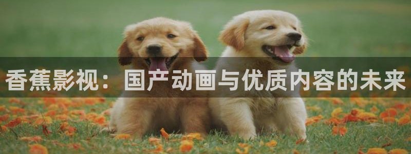 久久8免费视频