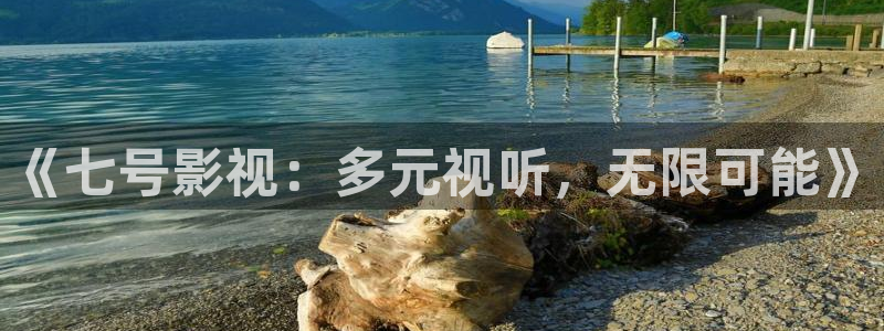 国产久久这里只有视频