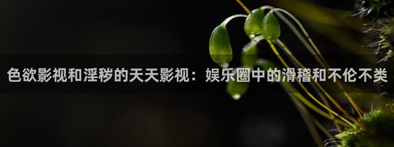 久久精品艹视频